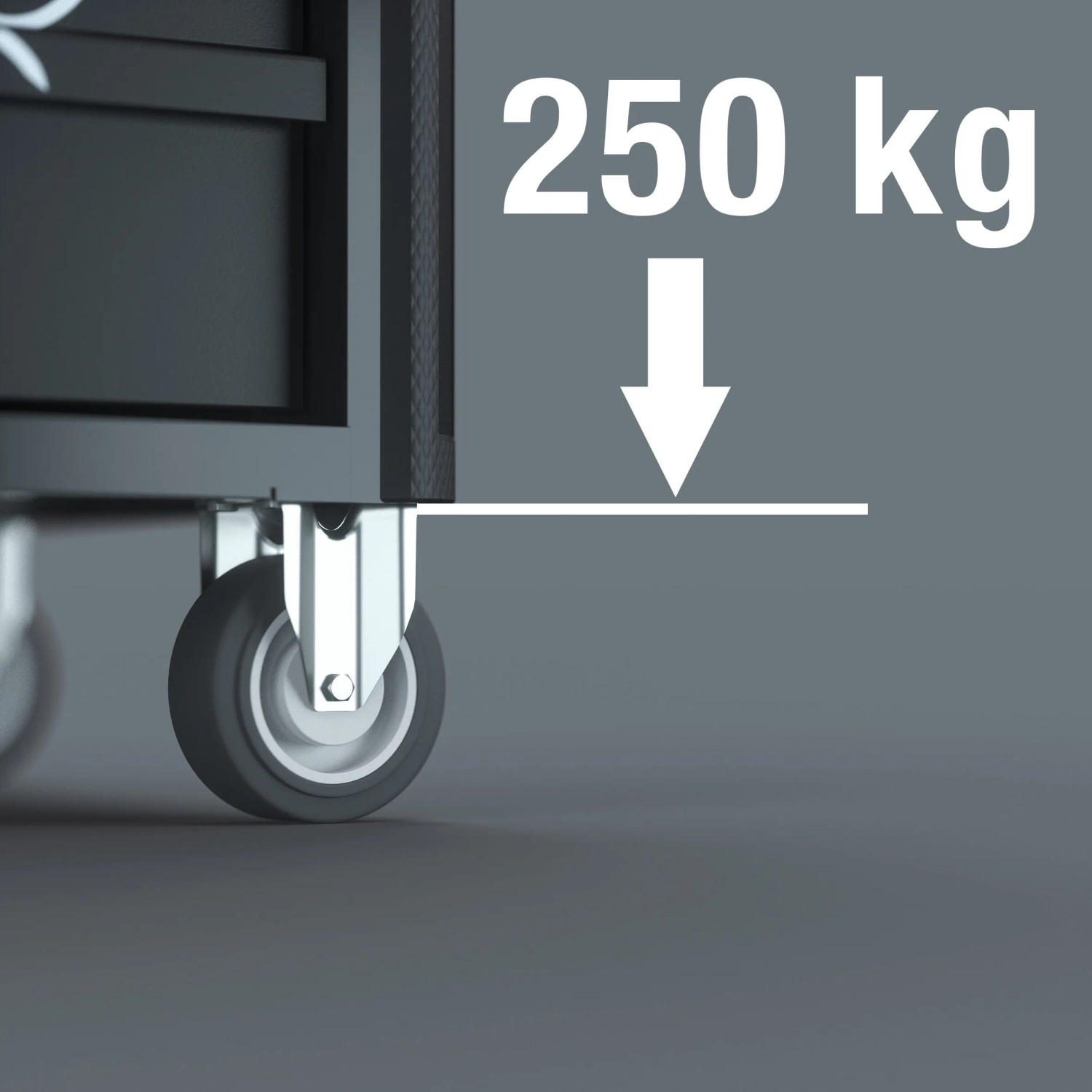 Detailaufnahme: Wera Werkstattwagen mit Rollen, Traglast 250 kg.