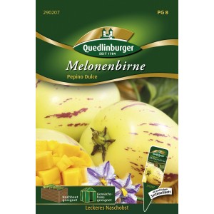 Samenpackung Quedlinburger Melonenbirne Pepino Dulce mit Früchten, Blüte und Würfeln.
