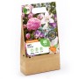 GROW by OBI Duft-Kollektion Blumenzwiebeln, Höhe 25-80cm, mit verschiedenen Blüten im Papierbeutel.