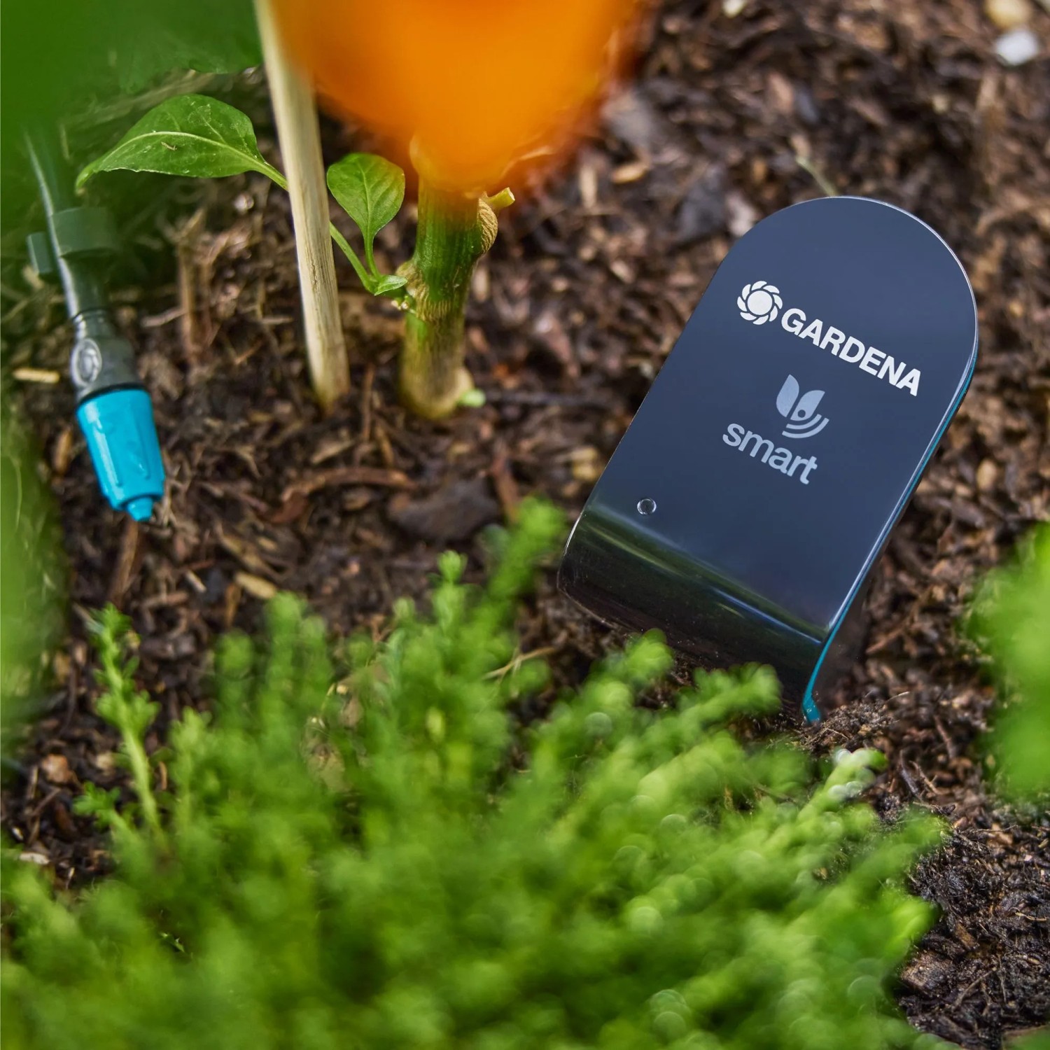 Gardena Smart Sensor Control Set im Beet mit Bewässerung und Sensor.