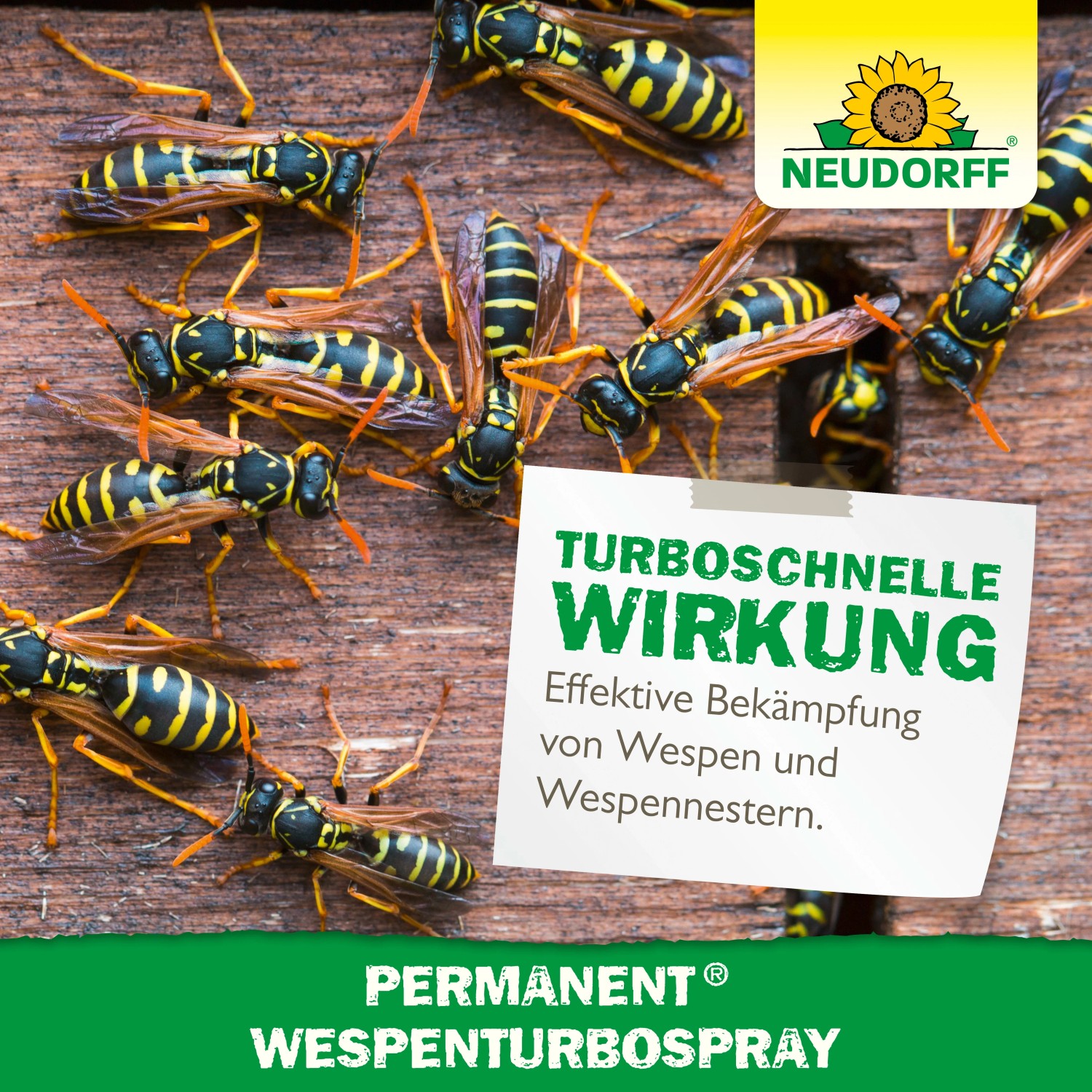 Neudorff Wespenspray Turbo: Wespen auf Holzuntergrund, Hinweis auf turboschnelle Wirkung.