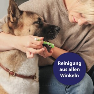 Frau putzt Zähne eines Schäferhundes mit Canosept 3-Kopf-Zahnbürste für Hunde.