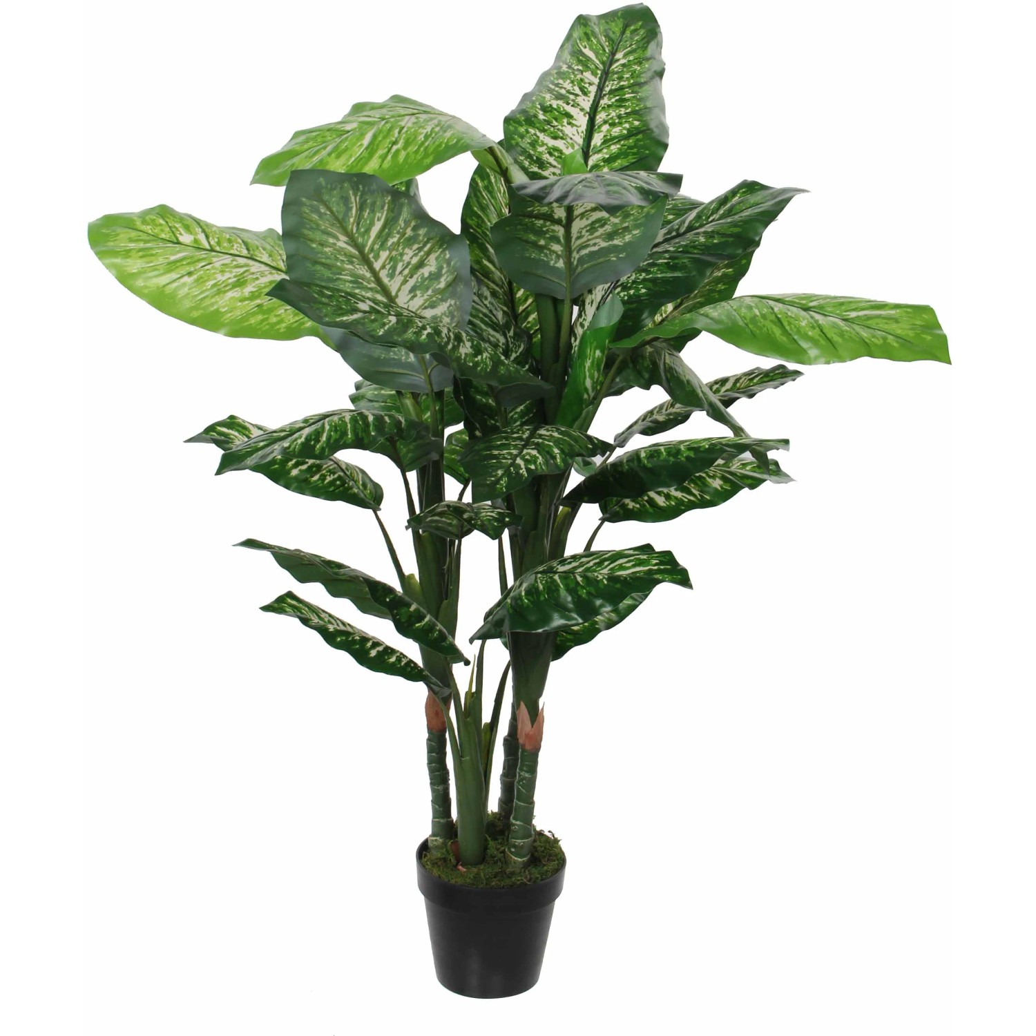 Mica Decorations Künstliche Pflanze Dieffenbachia H 105 cm, Ø 85 cm kaufen bei OBI