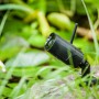 Summer Fun Smart Garden Cam: Schwarze Outdoor WLAN-Kamera zur Gartenüberwachung.