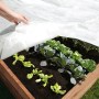 Gartenvlies Weiß (5x1,5m) über Gemüsebeet gespannt, schützt Pflanzen vor Wind und Wetter.