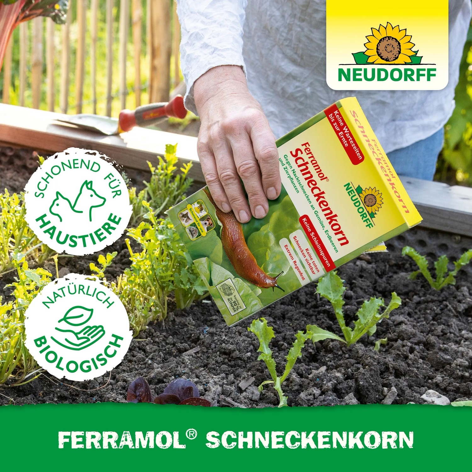 selbstversorger saatgut Selbstversorger Saatgut-Box L Bio  Eschenfelder