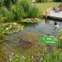 Vdvelde Aqua Set   Korb Substrat Ton Nahrung & Kies_5