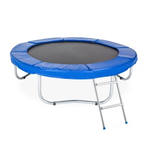 Silberne Stahl-Trampolinleiter mit 2 Sprossen, am blauen Gartentrampolin eingehängt. Erleichtert den sicheren Ein- und Ausstieg.