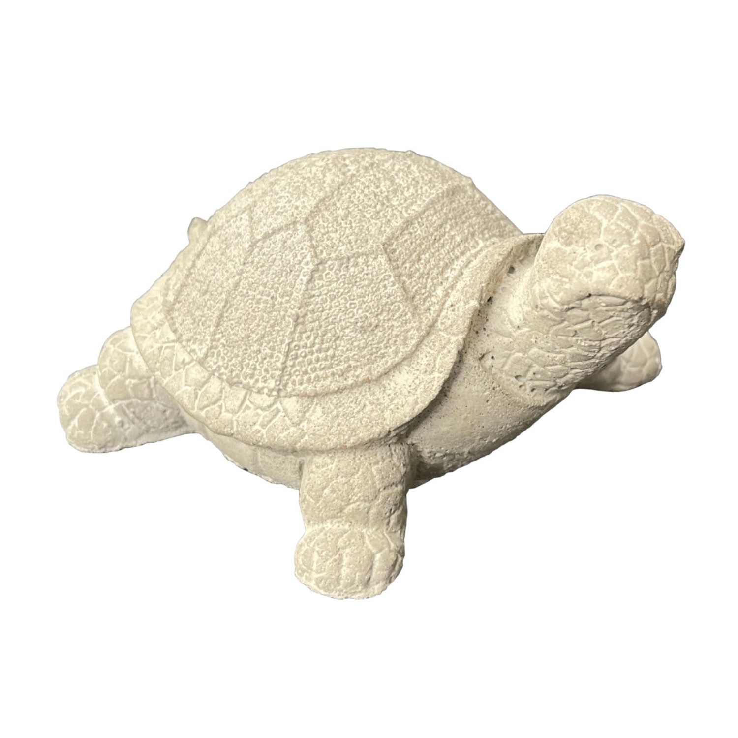 ZGM Betonfigur Schildkröte AMANDA günstig online kaufen