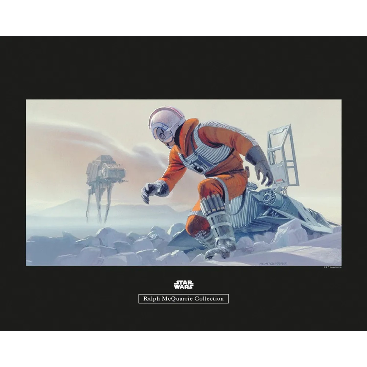 Komar Wandbild Star Wars Pilot 50 x 40 cm