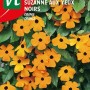 Schwarzäugige Susanne Samen Ca. 0,75 g Orangefarbene Blüten