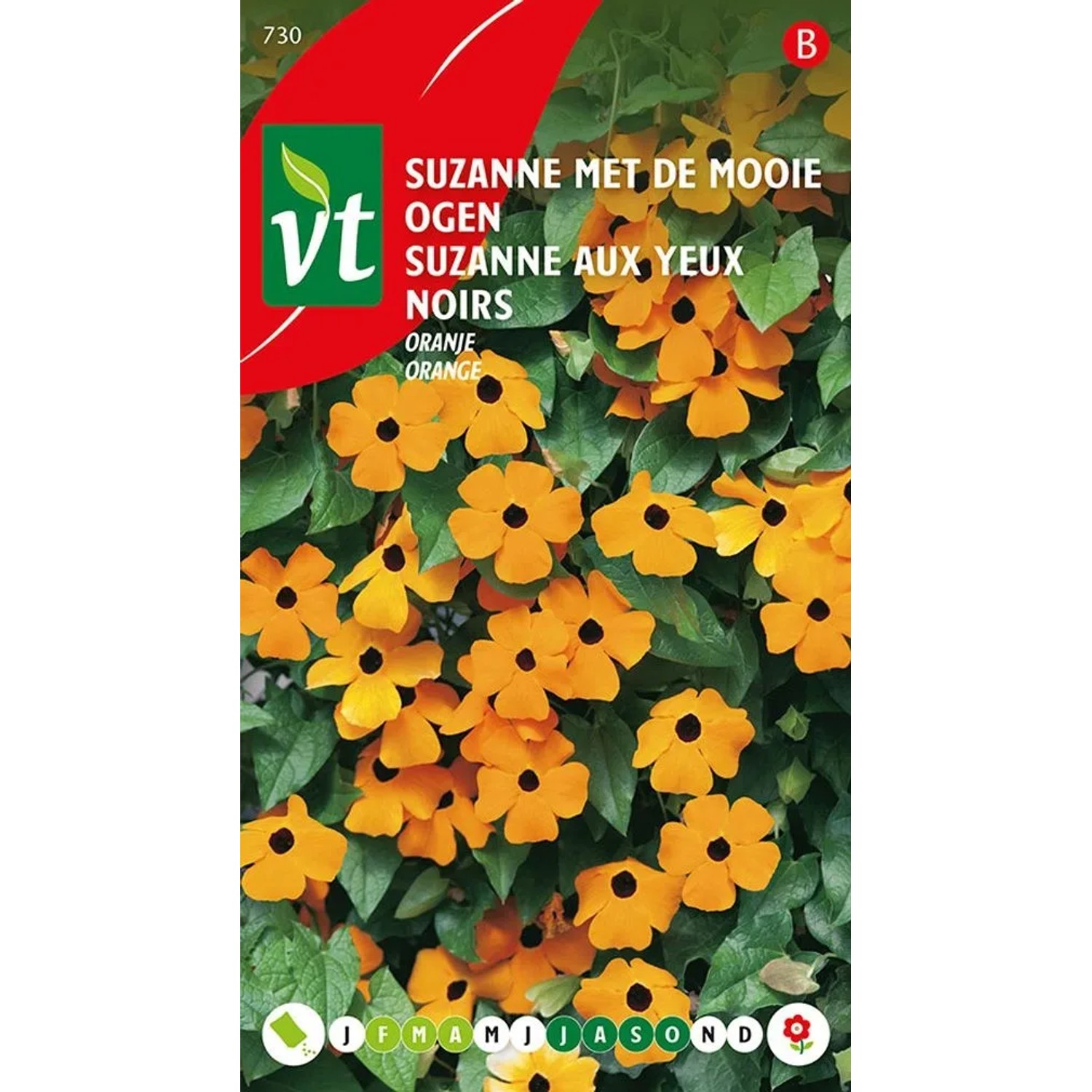 Schwarzäugige Susanne Samen Ca. 0,75 g Orangefarbene Blüten