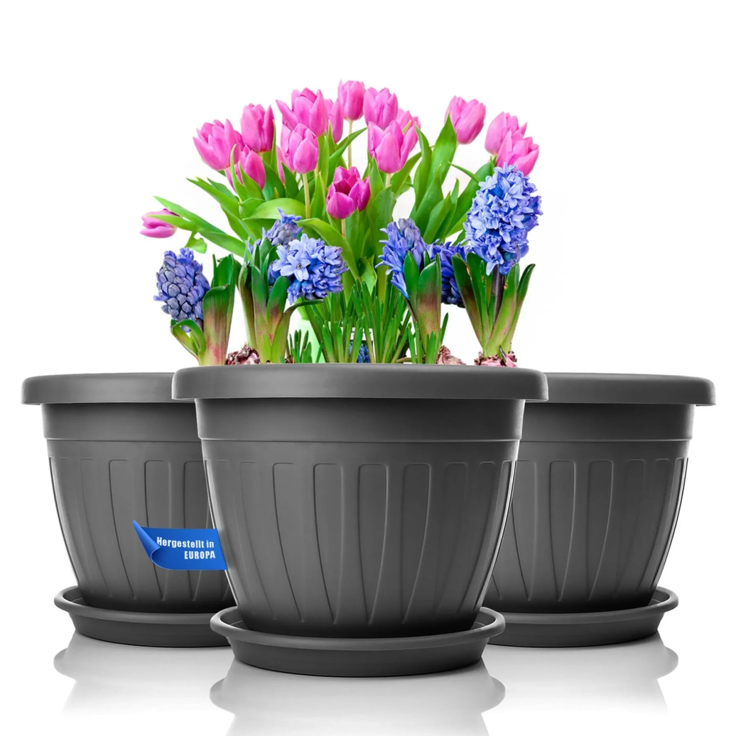 BigDean 3x Blumentopf Mit Untersetzer Rund Durchmesser 33xH25 Cm Anthrazit Wetterfester Pflanzkübel Wasserablauf UV Beständig Aus Bruchsicherem BigDean 3x Blumentopf Mit Untersetzer Rund Ø33xH25 Cm Anthrazit Wetterfester Pflanzkübel Wasserablauf UV Beständig Aus Bruchsicherem Kunststoff Innen