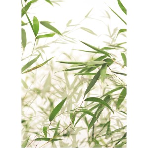 Komar Wandbild Bamboo Leaves, 30x40 cm, mit grünen Bambusblättern vor hellem Hintergrund.