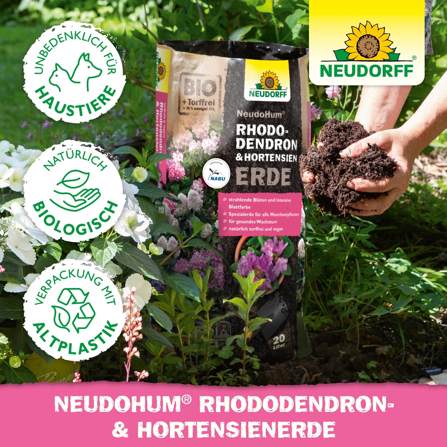 Neudorff NeudoHum HortensienErde 20L im Sack, torffrei, mit Hortensien bepflanzt.