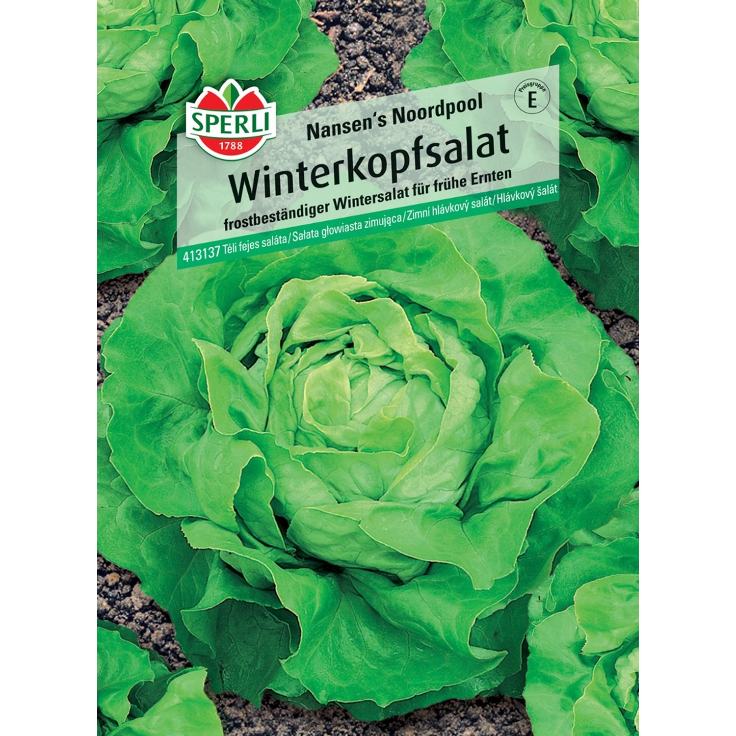 Sperli Winterkopfsalat Nansen's Noordpool