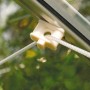 Detailaufnahme: Pflanzenhalter zur Befestigung an Aluprofilen im Gewächshaus.