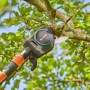 Gardena StarCut Pro L Baumschneider beim Schneiden eines Astes. Teleskopierbare Hand-Heckenschere mit Bypass-Schneidprinzip.