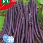 Bohnen Amethyst SamenCa. 25 grLila Farbe