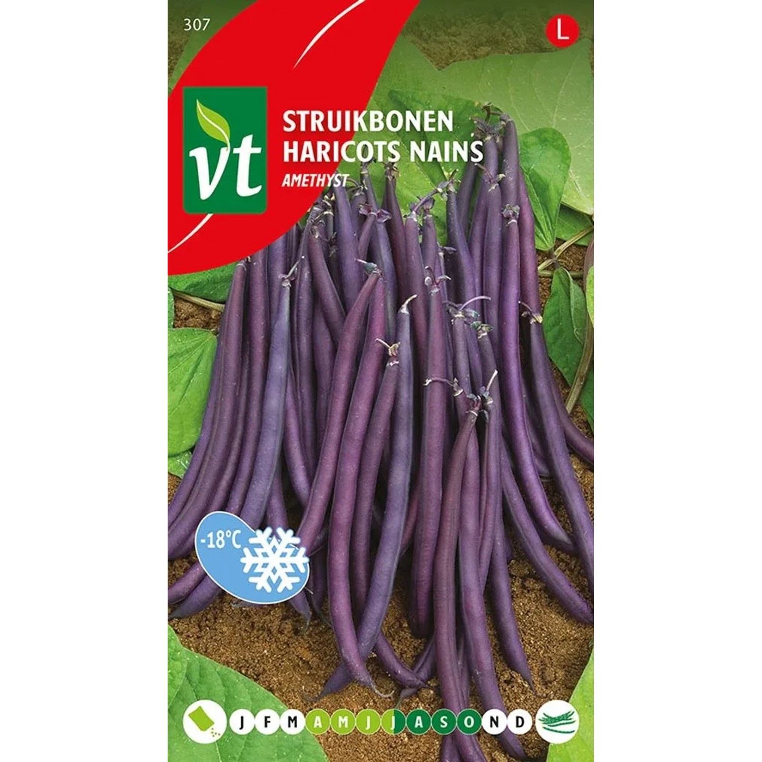 arborix Bohnen Amethyst SamenCa. 25 GrLila Farbe