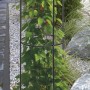 Westfalia Rankobelisk, Ø 40x190 cm, dunkelgrün, mit Kletterpflanze im Garten.