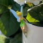 Blumentopf mit Tinkerbell Topfanhänger als Dekoration.
