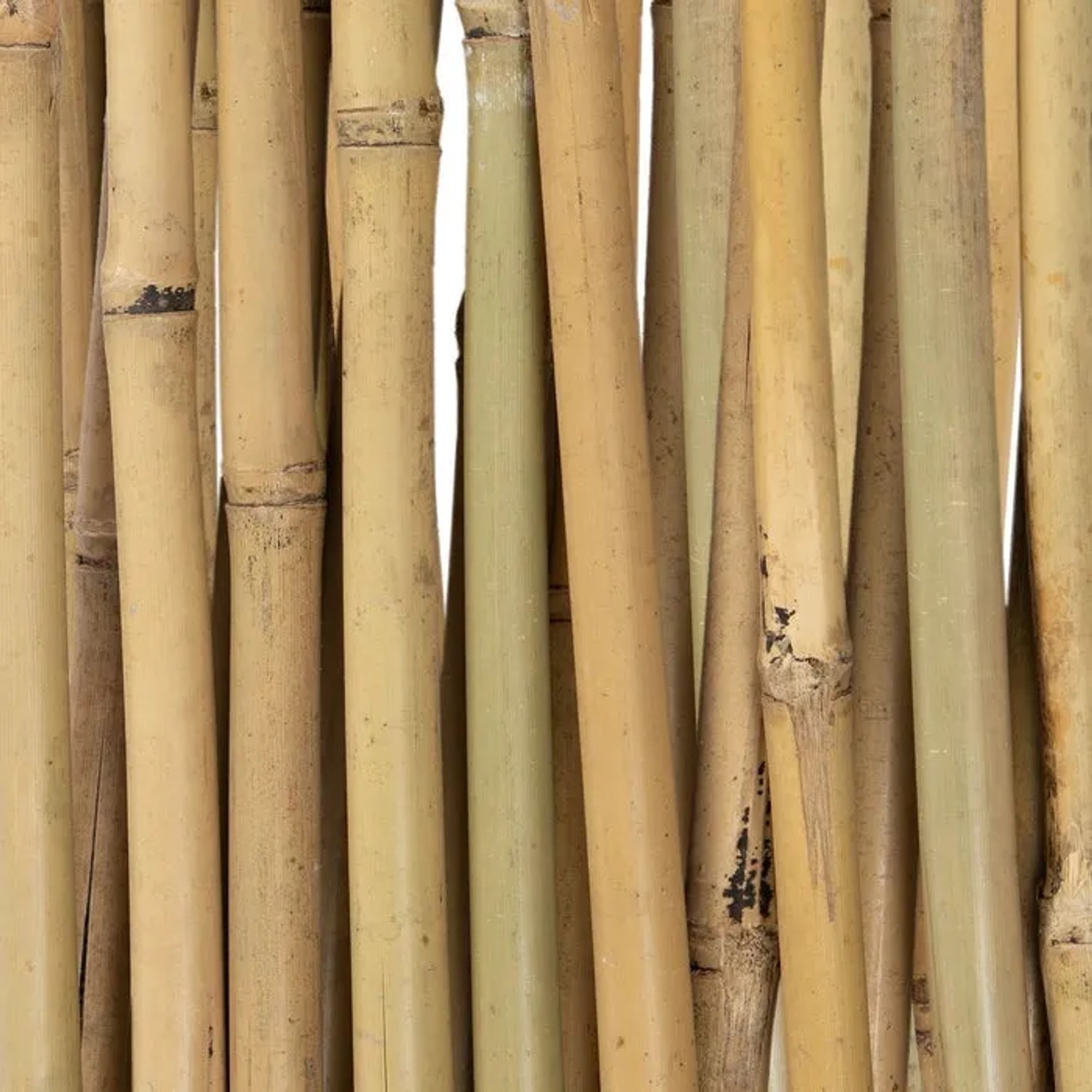 Detailaufnahme: KARAT Bambus Rankgitter, ausziehbar, naturfarben, für Kletterpflanzen im Garten.