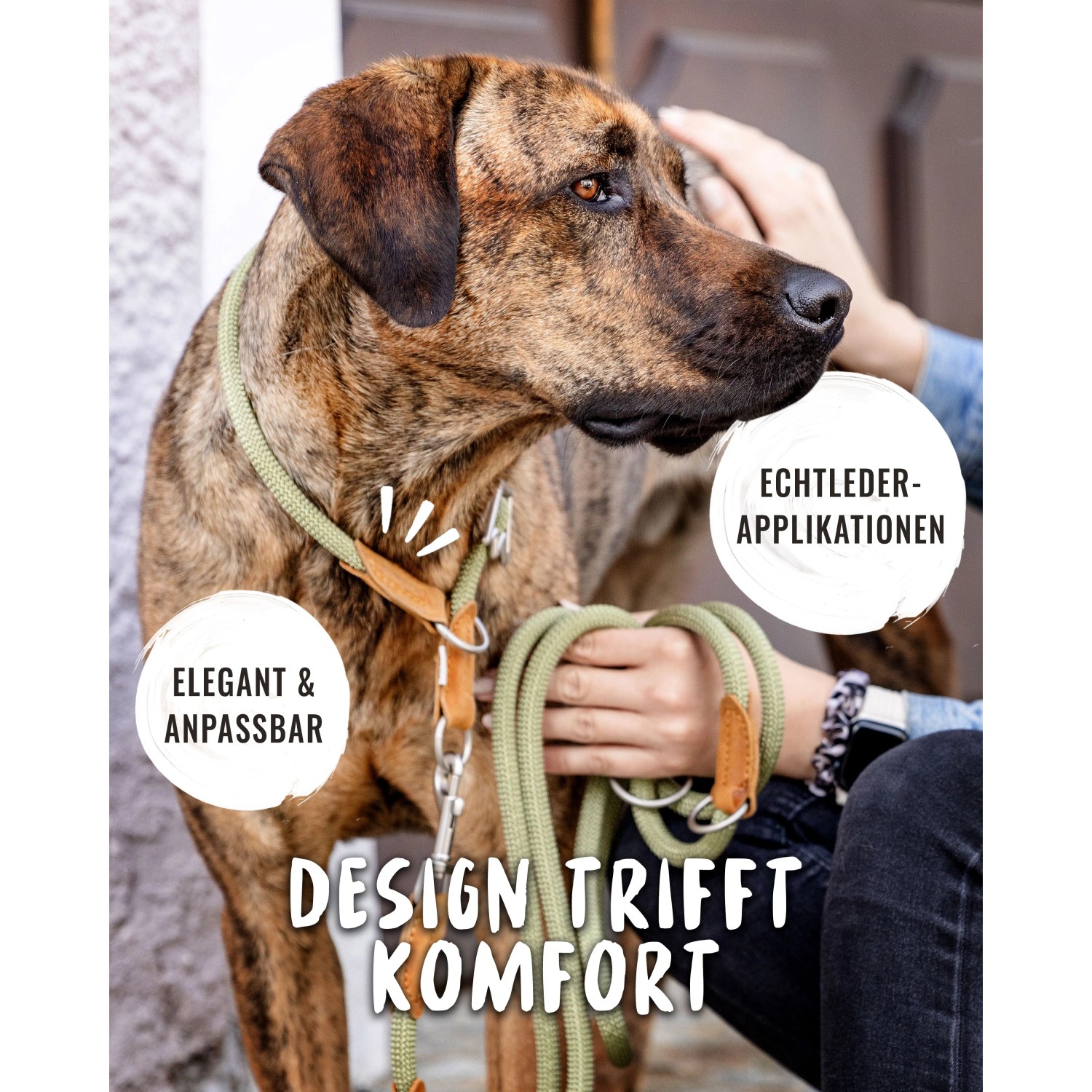 Grünes Rudelkönig Zugstopphalsband aus Nylon mit Lederdetails am Hund.