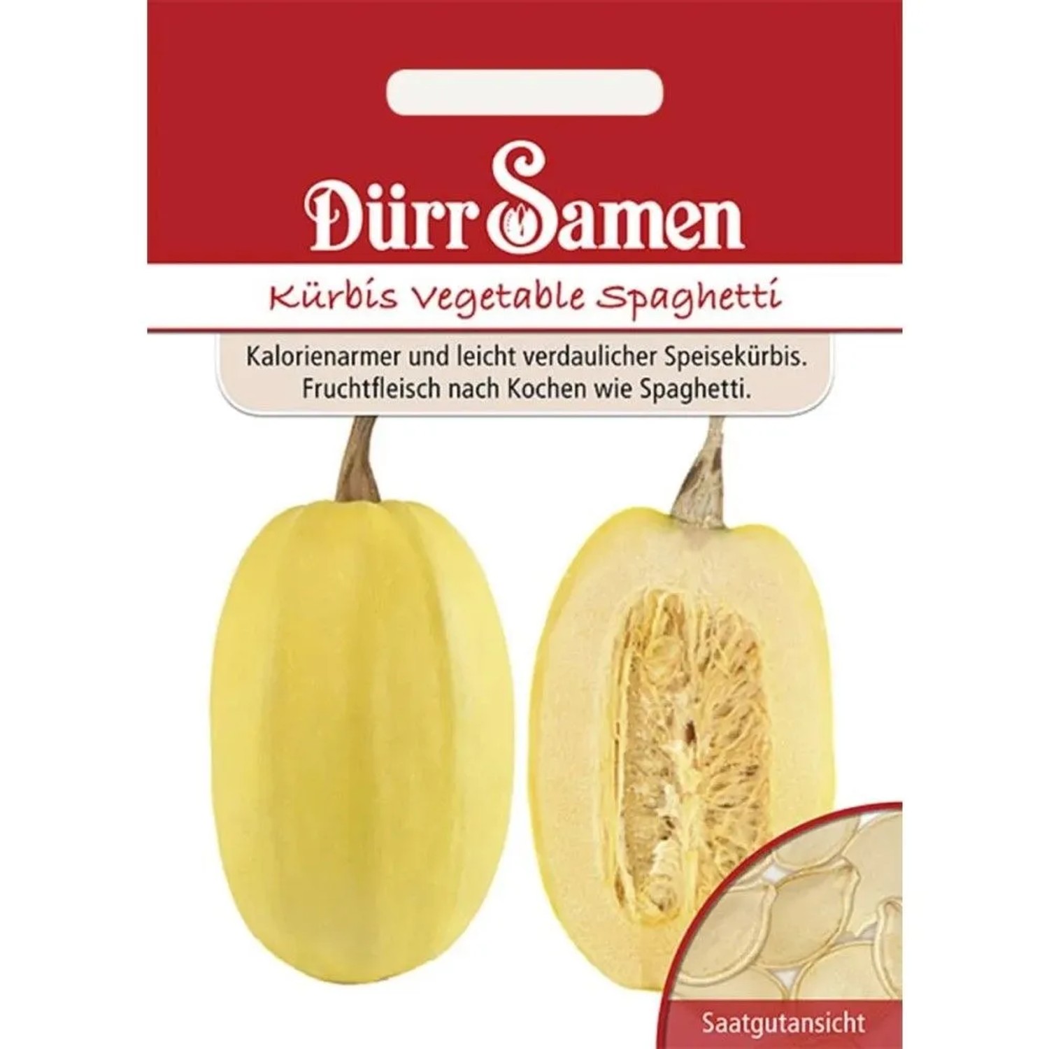 Dürr Samen Spaghetti-Kürbis Vegetable Spaghetti Saatgut