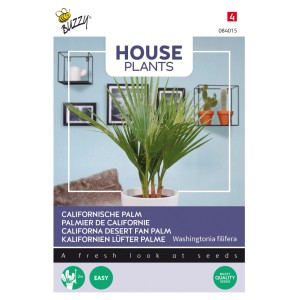 Kalifornische Palme Buzzy House Plants Samen Ca. 1 g Für Innenbereich