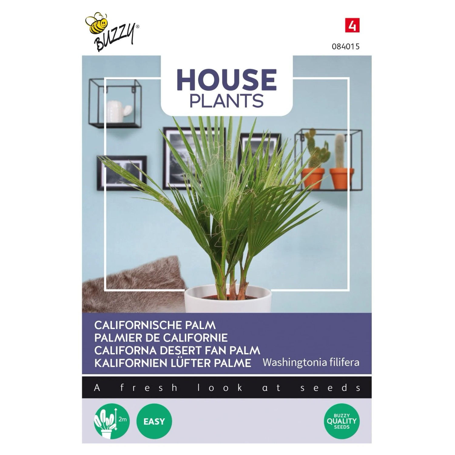 Kalifornische Palme Buzzy House Plants Samen Ca. 1 g Für Innenbereich