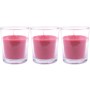 3er Pack HS Candle Duftkerzen Classic Wilde Rose im Glas