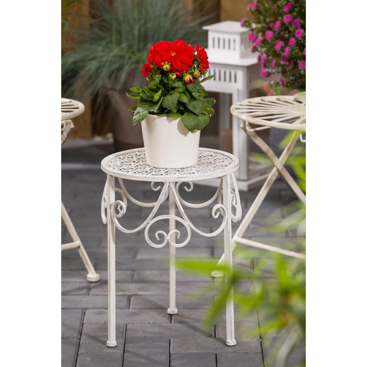 Dahlie 'Dahlietta Anna' im Topf mit roten Blüten auf weißem Ziertisch für Balkon und Garten.