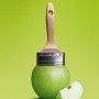 Schöner Wohnen Trendfarbe Fresh, Farbtester mit Pinsel, Farbe wie ein grüner Apfel.