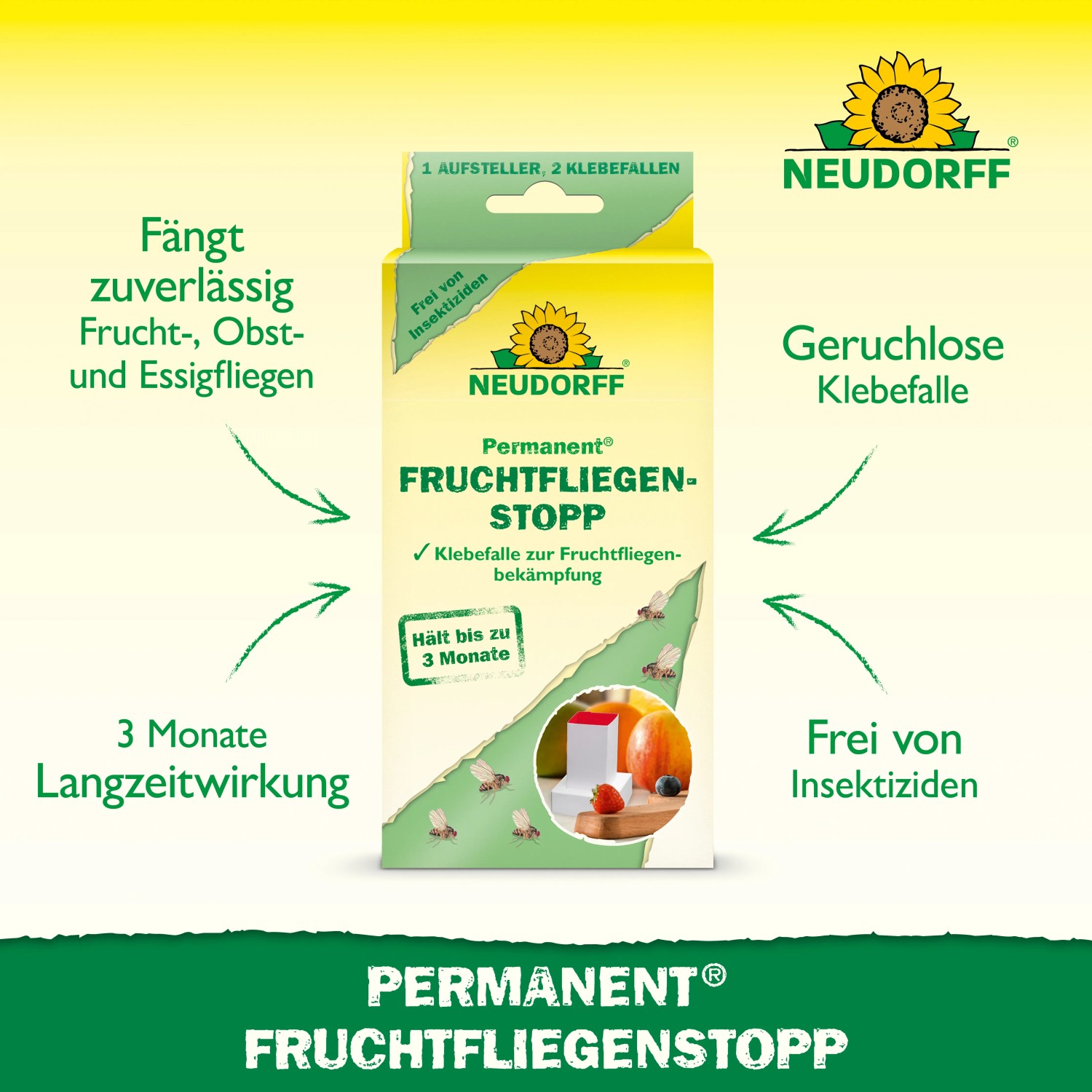 Neudorff Fruchtfliegenstopp Permanent mit Aufsteller, 2er-Pack. Klebefalle zur Bekämpfung von Fruchtfliegen.
