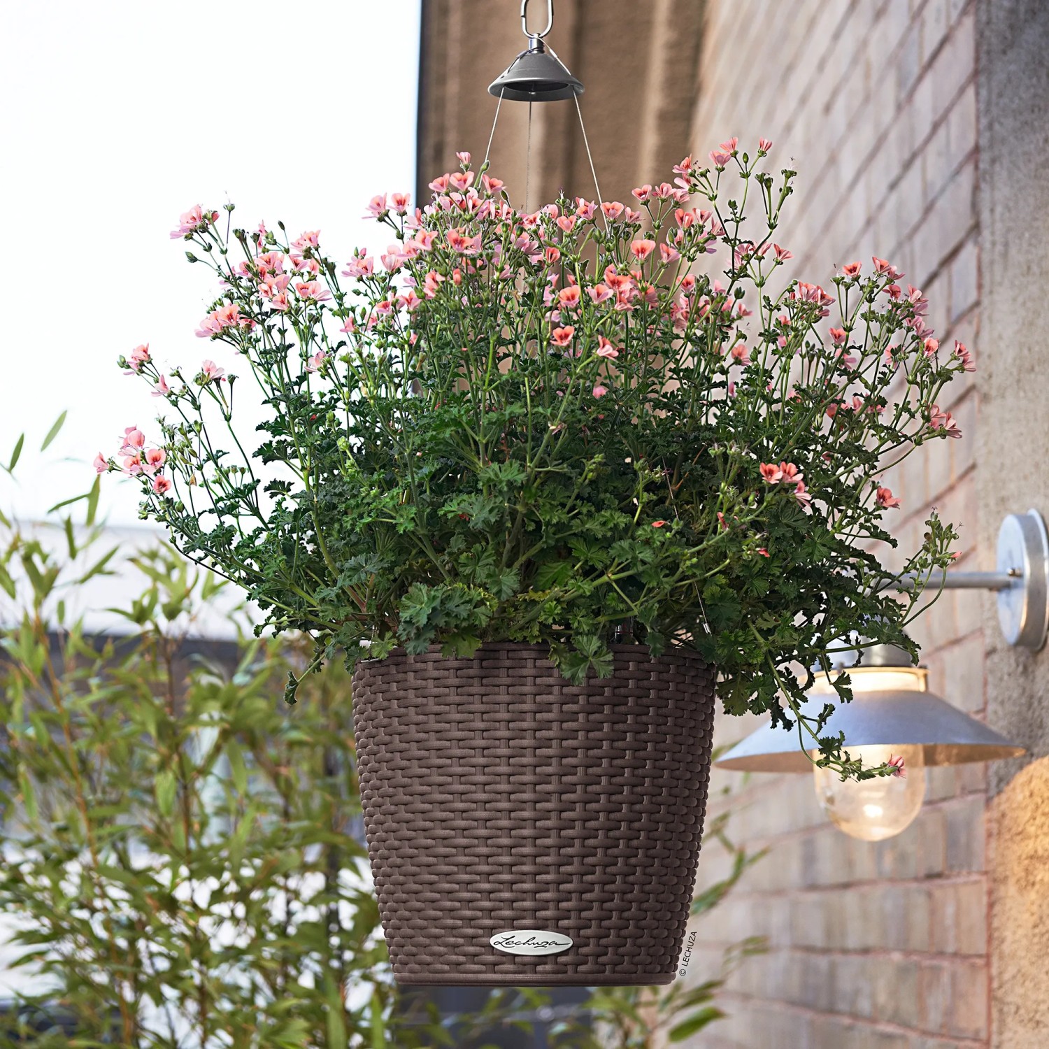 Lechuza Hängeampel Nido Cottage, Ø 27cm, Mokka, mit rosa blühenden Pflanzen.
