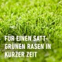 Nahaufnahme von saftig grünem Rasen, gedüngt mit Compo Rasendünger Turbo.