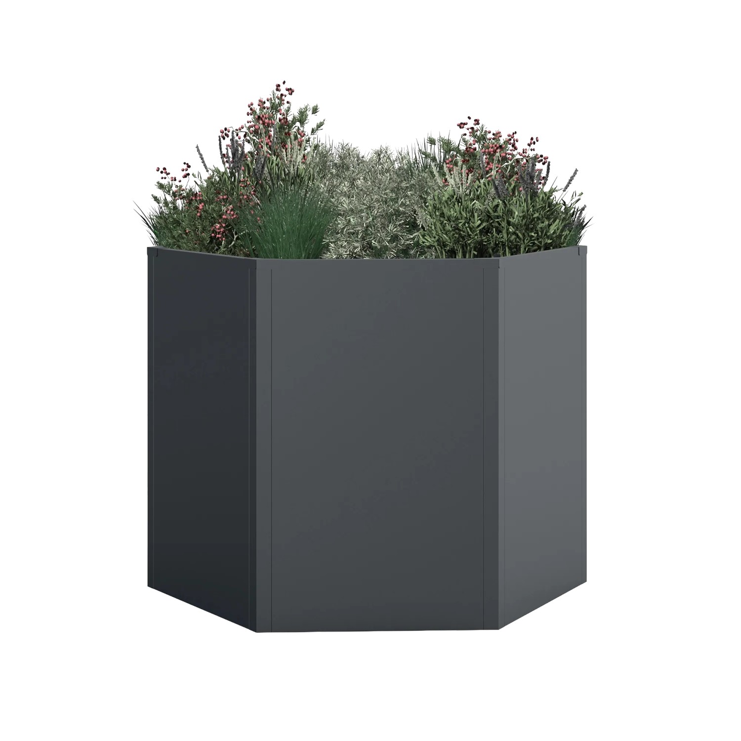 Anthrazitfarbenes, 6-eckiges Westmann Metall-Hochbeet Varia, bepflanzt mit Grünpflanzen und Blüten. Modernes Design für Garten.
