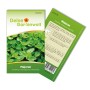 Samenpackung Majoran Einjährig von Deine Gartenwelt: Aromatisches Küchenkraut für Garten und Balkon.