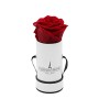 Rosenbox mit bordeauxfarbener Rose in weiß-schwarzer Box (Ø 5 cm).