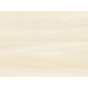 Helle Kronoflooring Dekor-Paneele in Holz Birke Taiga Optik für Wand und Decke.