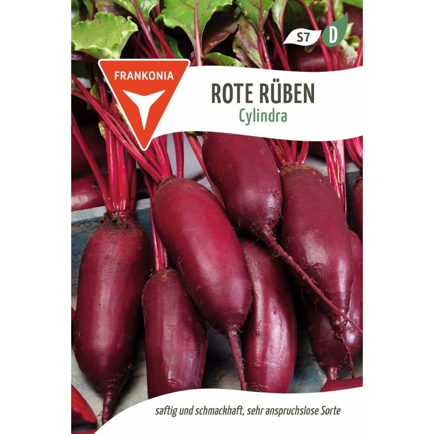 FRANKONIA Rote Beete Cylindra