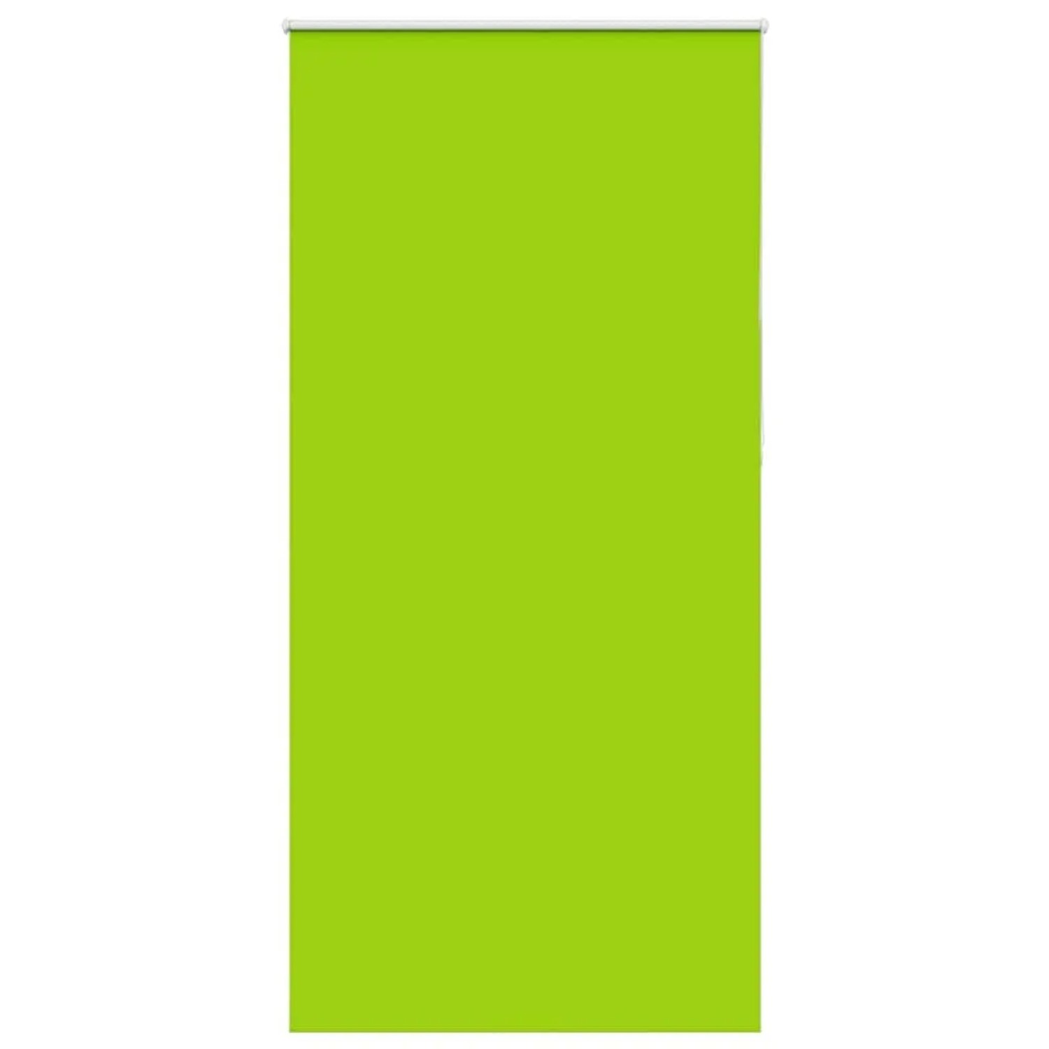 vidaXL Verdunkelungsrollo Grün 110x230cm Stoffbreite 105,7cm Polyester 4011 günstig online kaufen