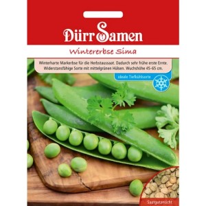 Dürr Samen Wintererbsen Sima Saatgut