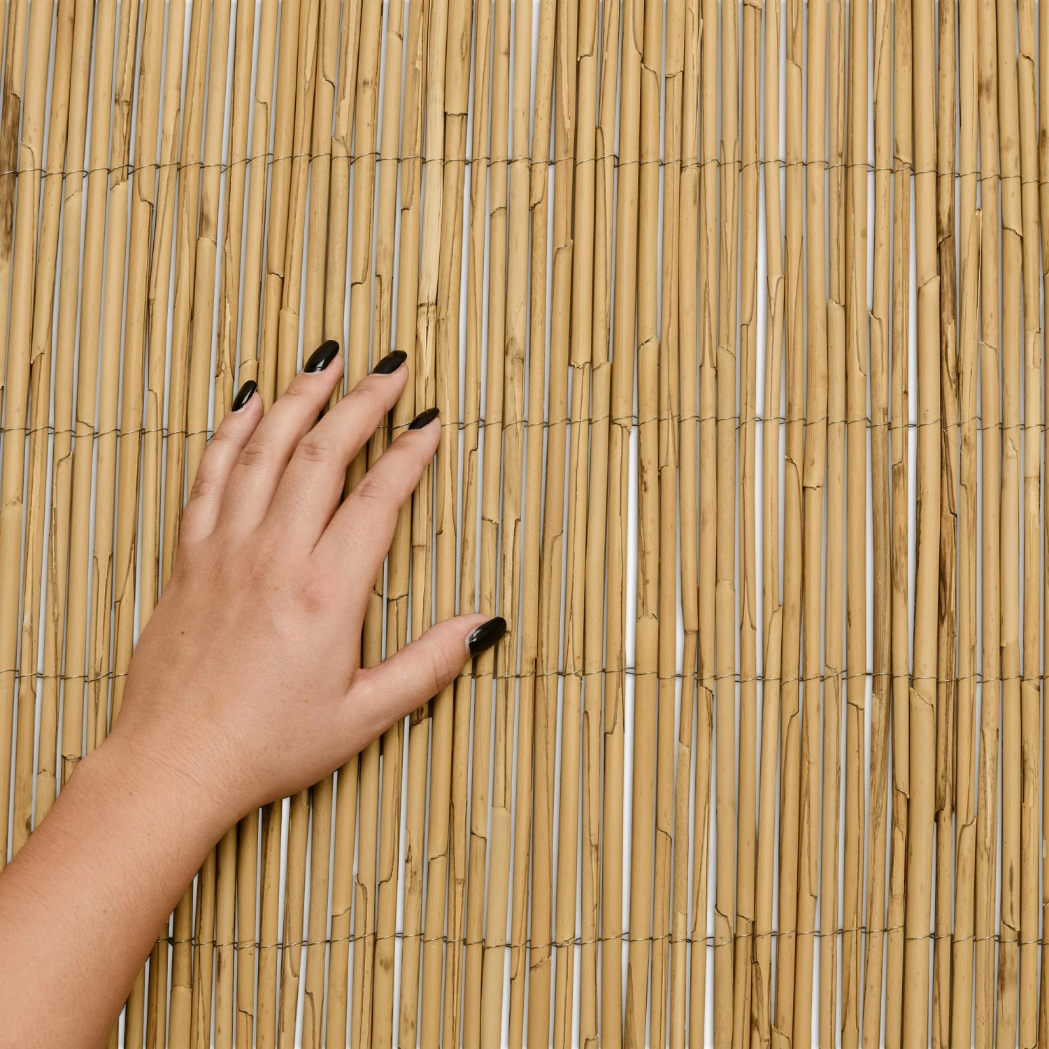 Sol Royal Schilf Sichtschutzzaun, Naturzaun mit Hand berührt, 140x600cm.