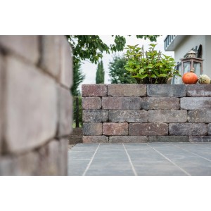 Diephaus Mauerstein Collo Herbstlaub, Ansicht einer errichteten Gartenmauer mit Pflanzen und Kürbissen.