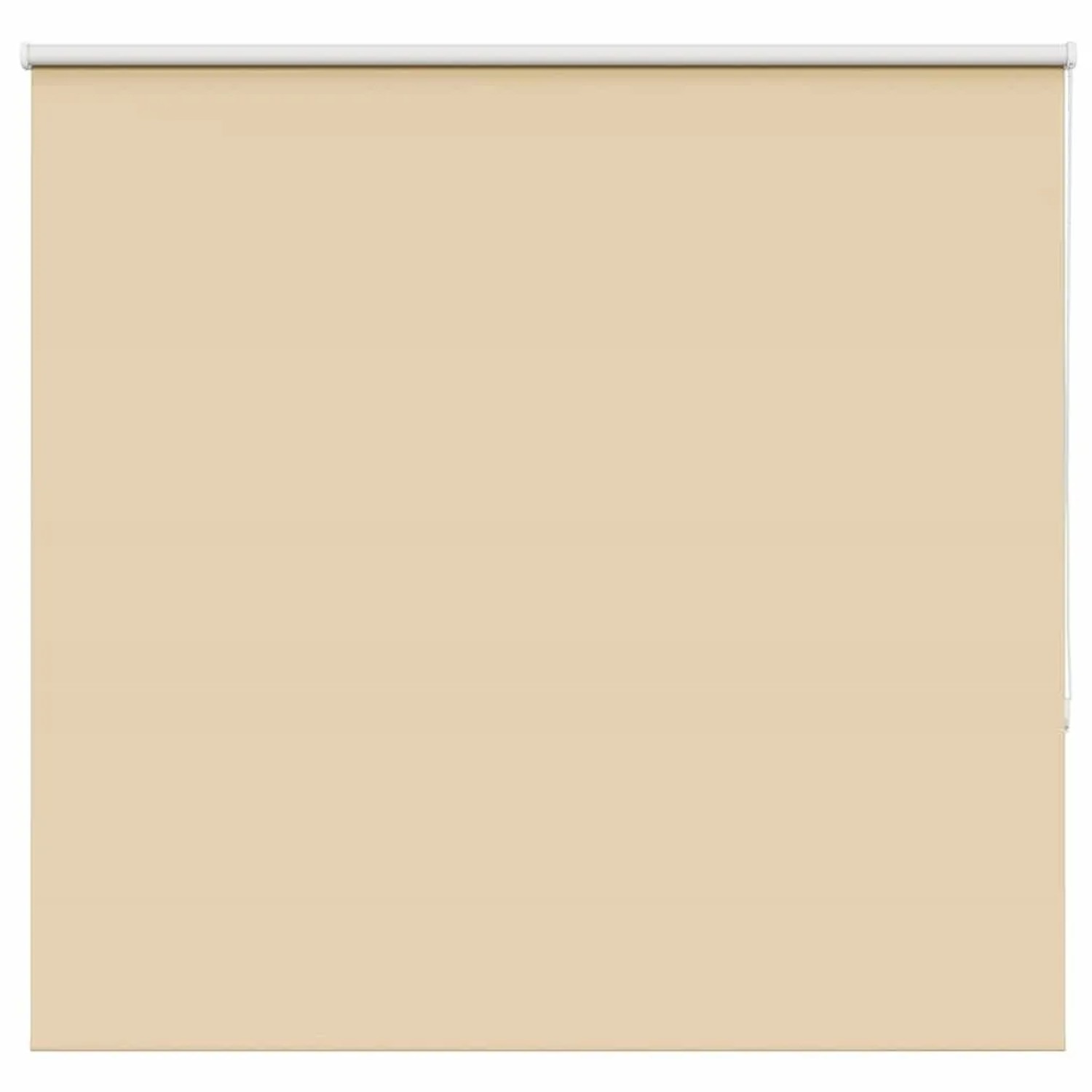 vidaXL Verdunkelungsrollo Beige 155x130 cm Stoffbreite 151,6 cm 4010723 günstig online kaufen