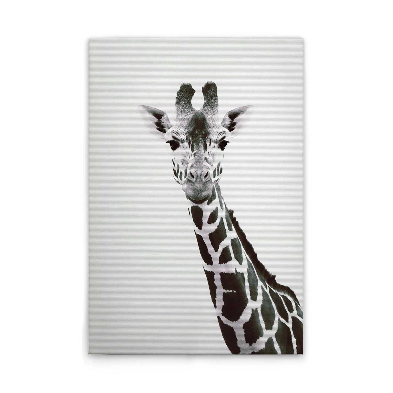 Tadessi Leinwandbild - M1-No.51126 - Tiere Giraffe - 30 x 45 cm - Querformat