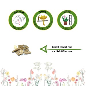 Samen der Deine Gartenwelt Flaschenkürbis-Mischung, ideal zum Basteln und Dekorieren.