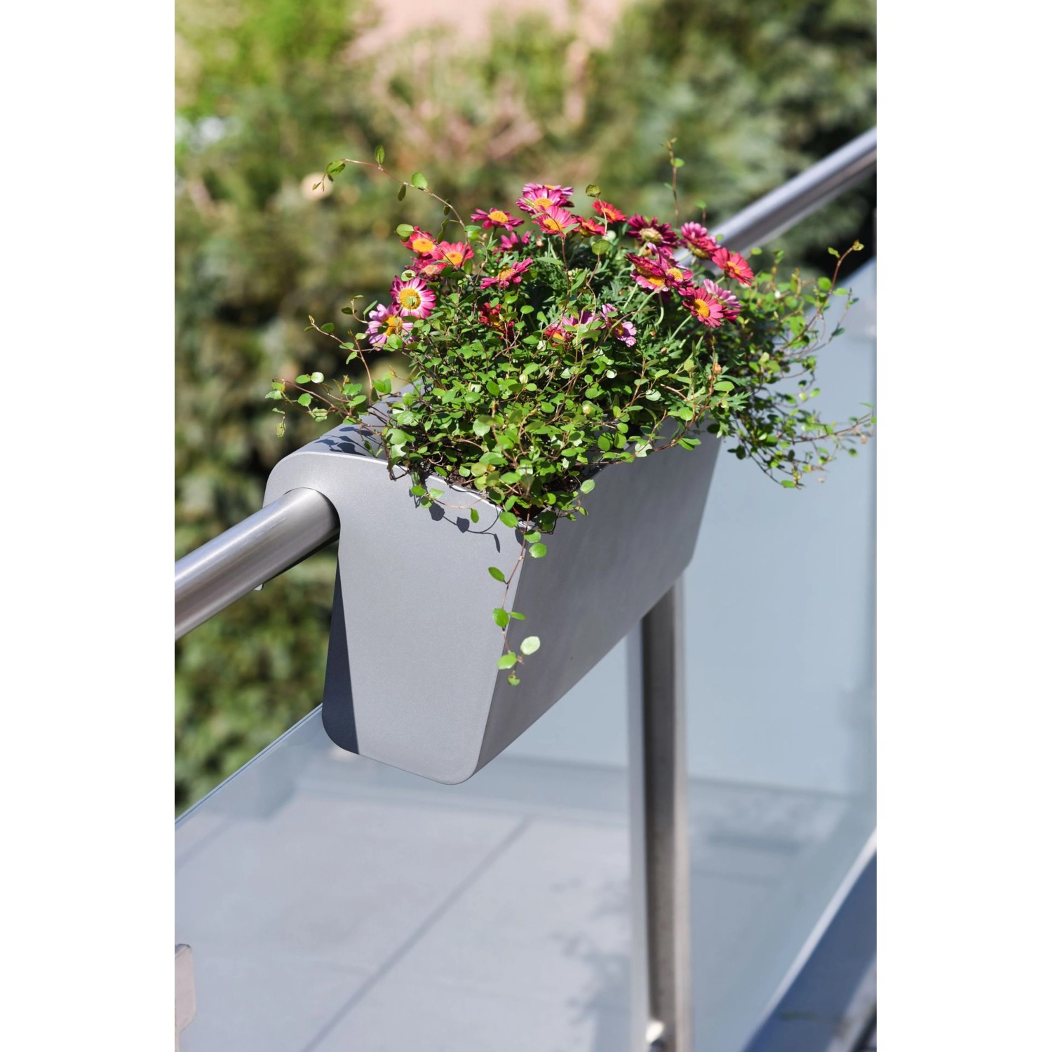 Vivanno Balkonkasten Balkona Classico mit Bewässerungssystem 50 cm